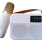 Parlantes Bluetooth Portátil Karaoke Mini Inalambrico
