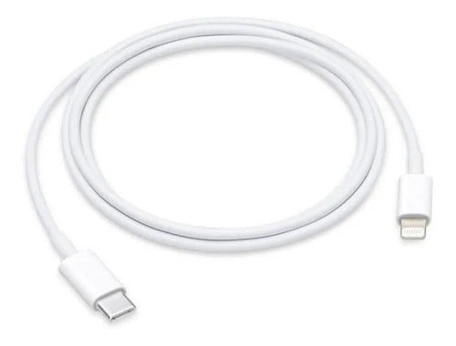 Cable USB-C A Lightning 1 Metro