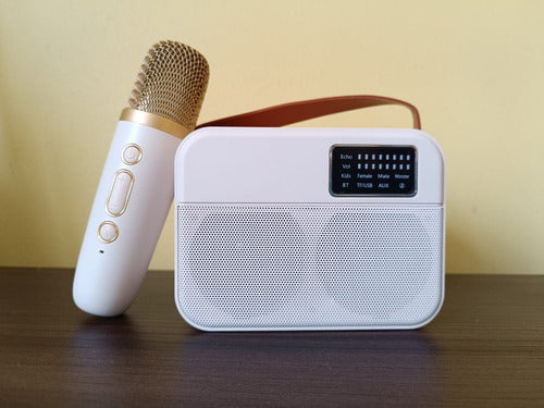 Parlantes Bluetooth Portátil Karaoke Mini Inalambrico